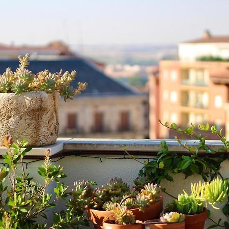 El Mirador De Zamora Ngoại thất bức ảnh