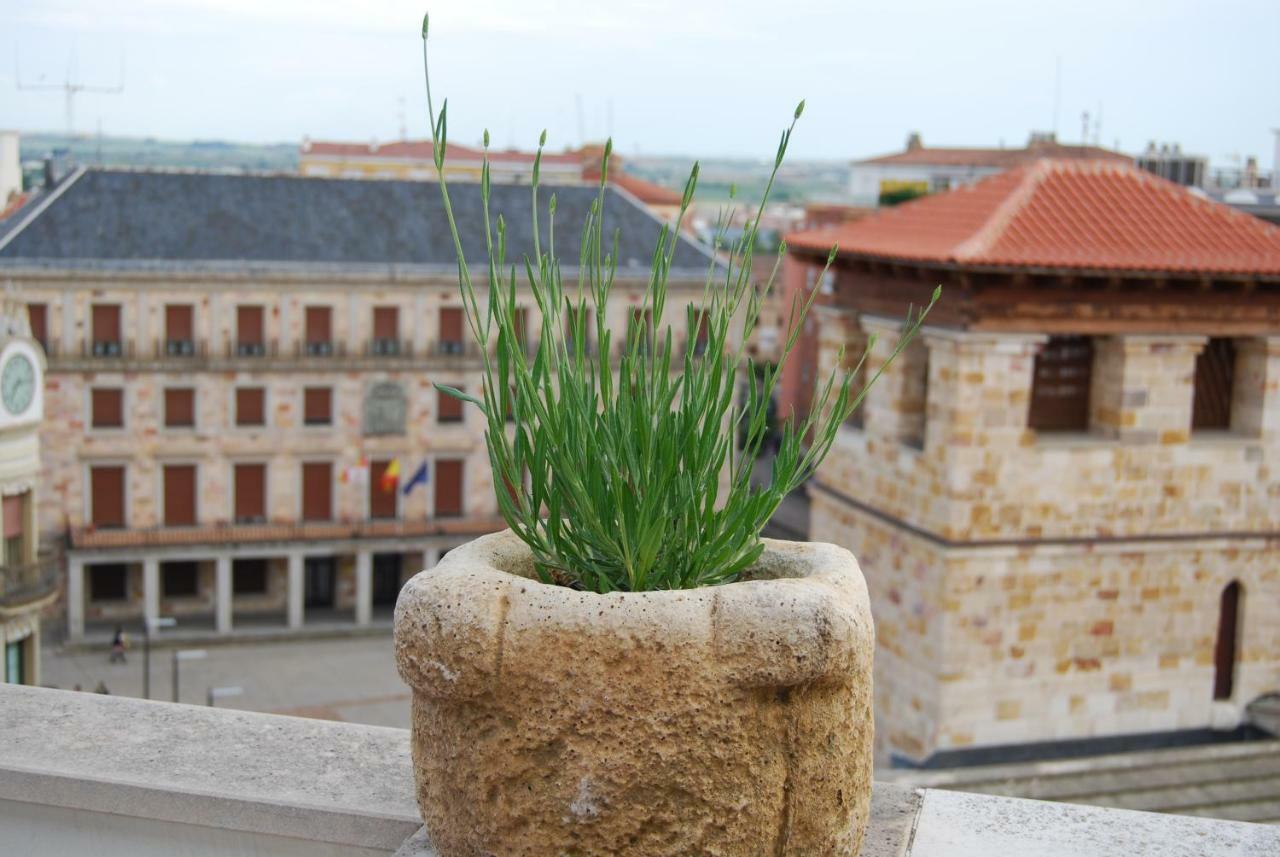 El Mirador De Zamora Ngoại thất bức ảnh